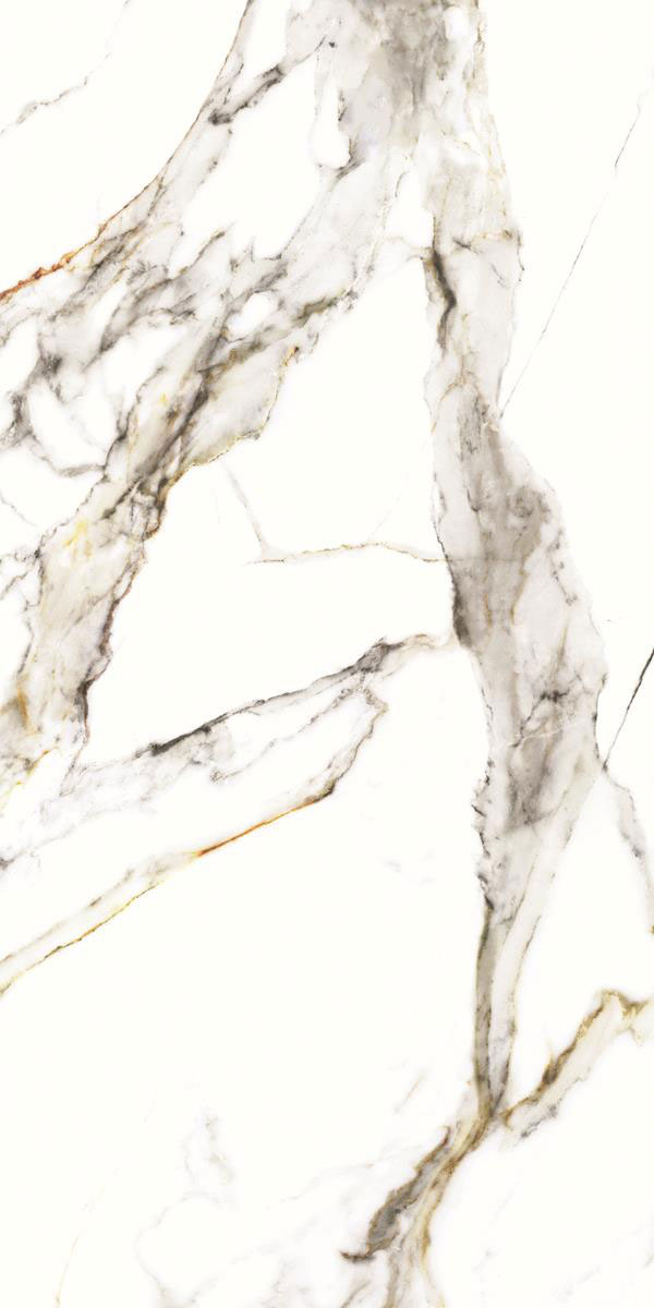 YOKA WHITE P3